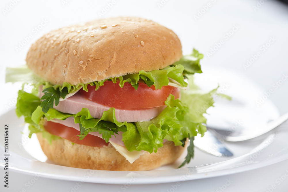 sandwich isolated on white sandwich isolated on white