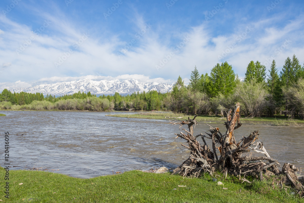 The mountain river, against the woody mountains, originating fro
