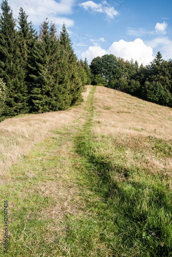 meadow with pathway, forest around and blue sky with clouds bellow Mala Kykula hill in Moravskoslezske Beskydy mountains