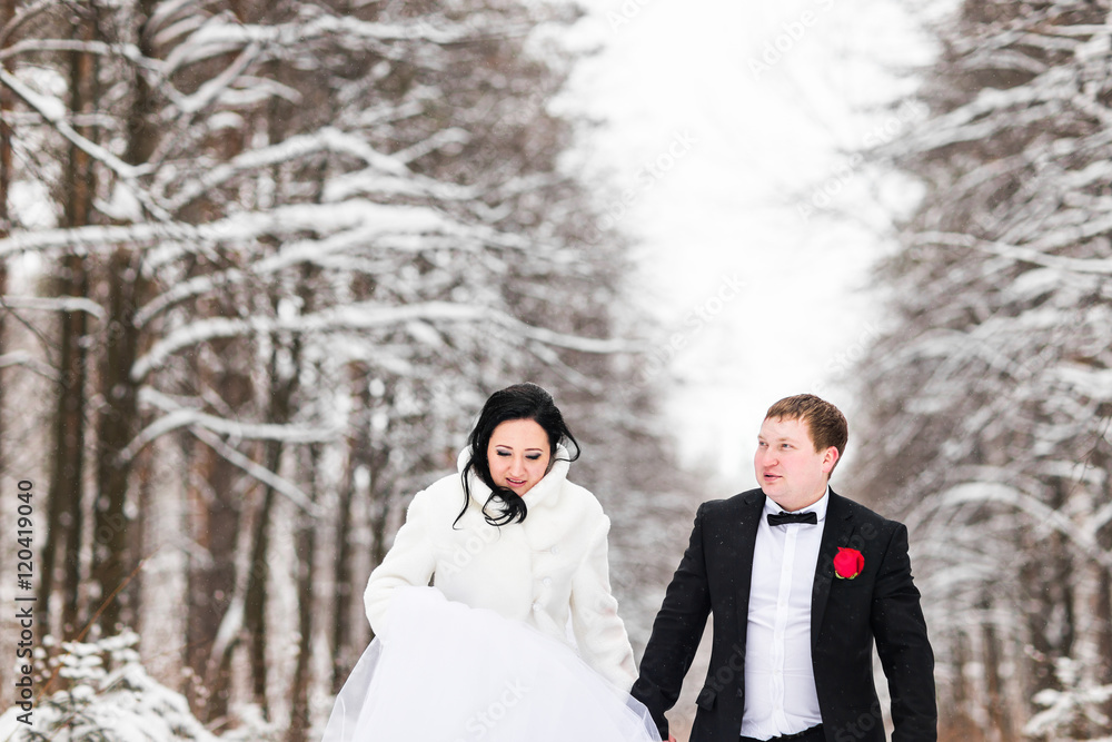bride and groom in the winter woods bride and groom in the winter woods
