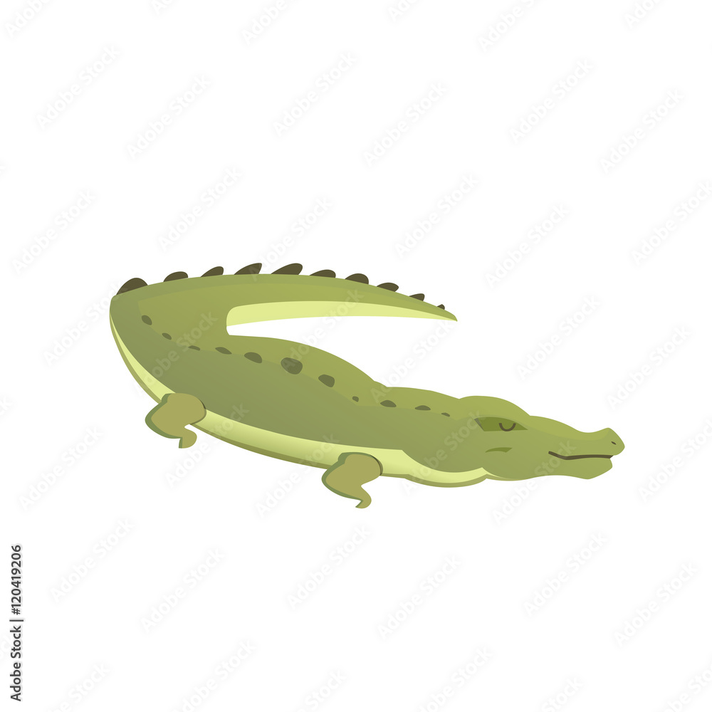 Fototapeta premium Vector cute crocodile isolated. cartoon green crocodile