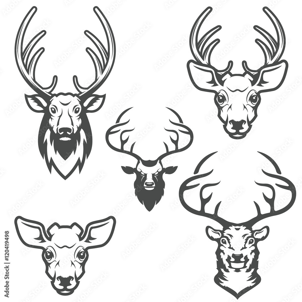 set of deer heads isolated on white background. Design elements set of deer heads isolated on white background. Design elements