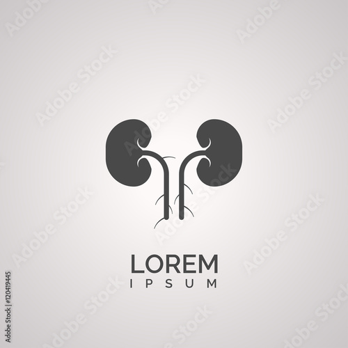 Kidney sign. icon design