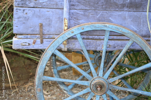 Old Abandoned Horse Cart On Grassy Field photo