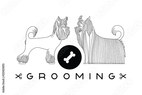 Pet grooming poster