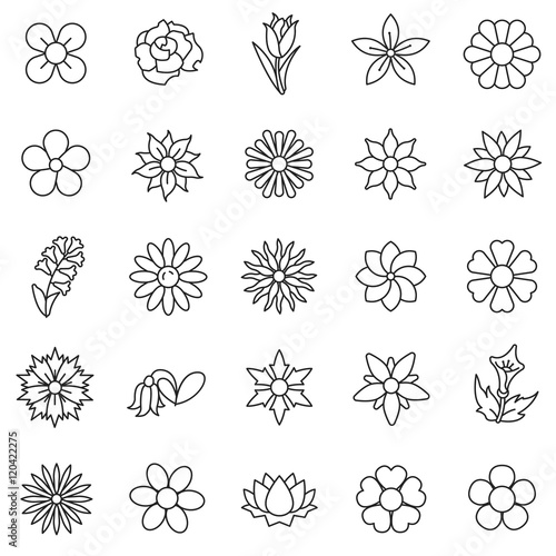 Fototapeta Naklejka Na Ścianę i Meble -  flowers linear icons set