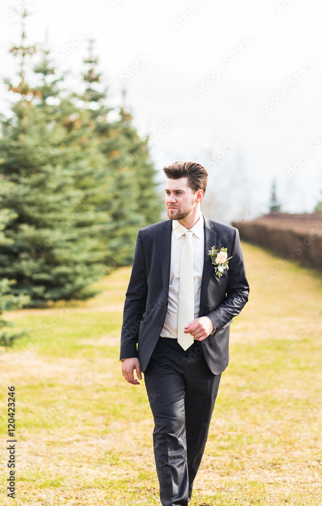 groom in autumn park at a wedding day groom in autumn park at a wedding day