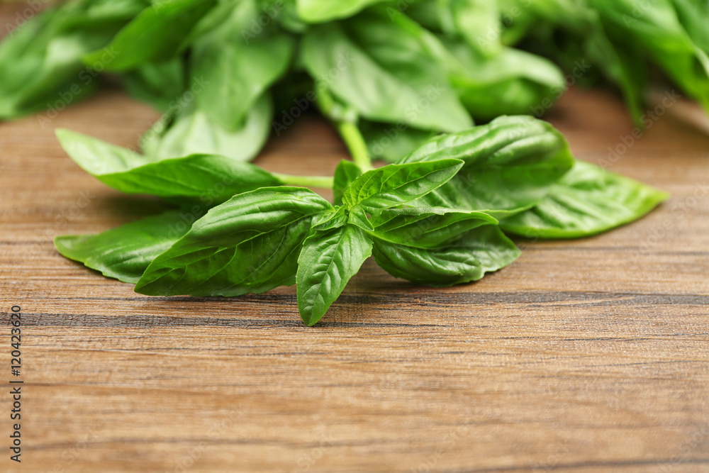 Fresh basil leaves on wooden background Fresh basil leaves on wooden background