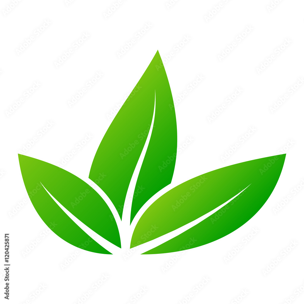 Leaf icon vector illustration. Leaf icon vector illustration.