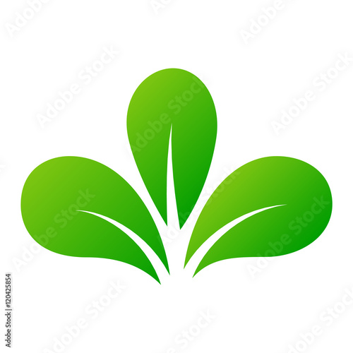 Leaf icon vector illustration.