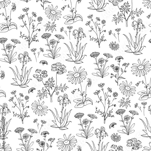 Holistic Medicine Card. Healing Herbs Illustration.