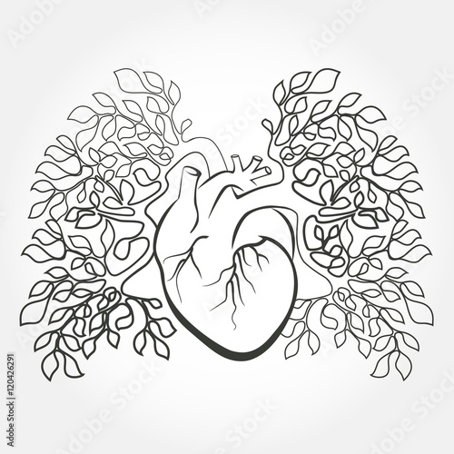 Human heart and lungs like a tree branch. Anatomy art design vector.
