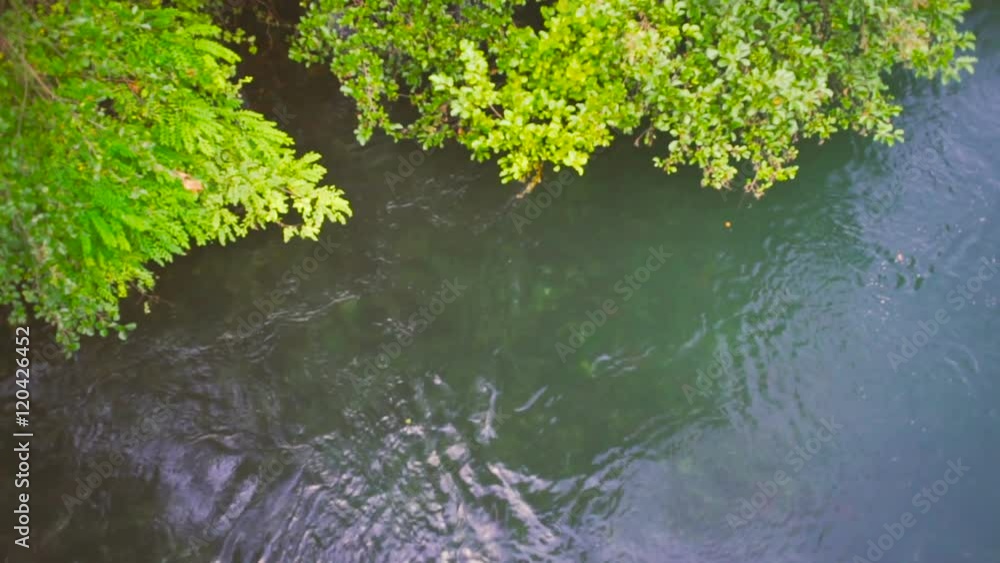 Quiet river trees and clouds Quiet river trees and clouds