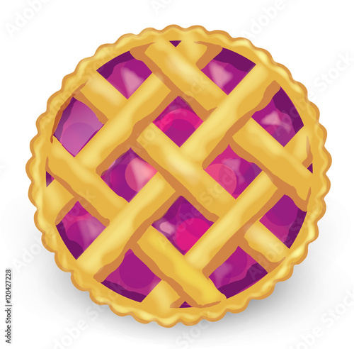 Pie icon. Vector illustration, clip-art, isolated on white background