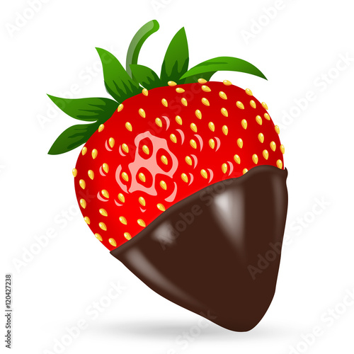 Chocolate dipped strawberry. Photo realistic. Vector illustration, clip-art, isolated on white background