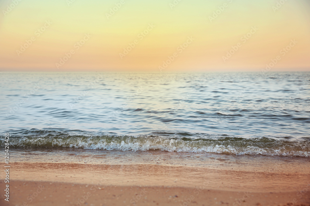 Fototapeta premium Beautiful sea shore