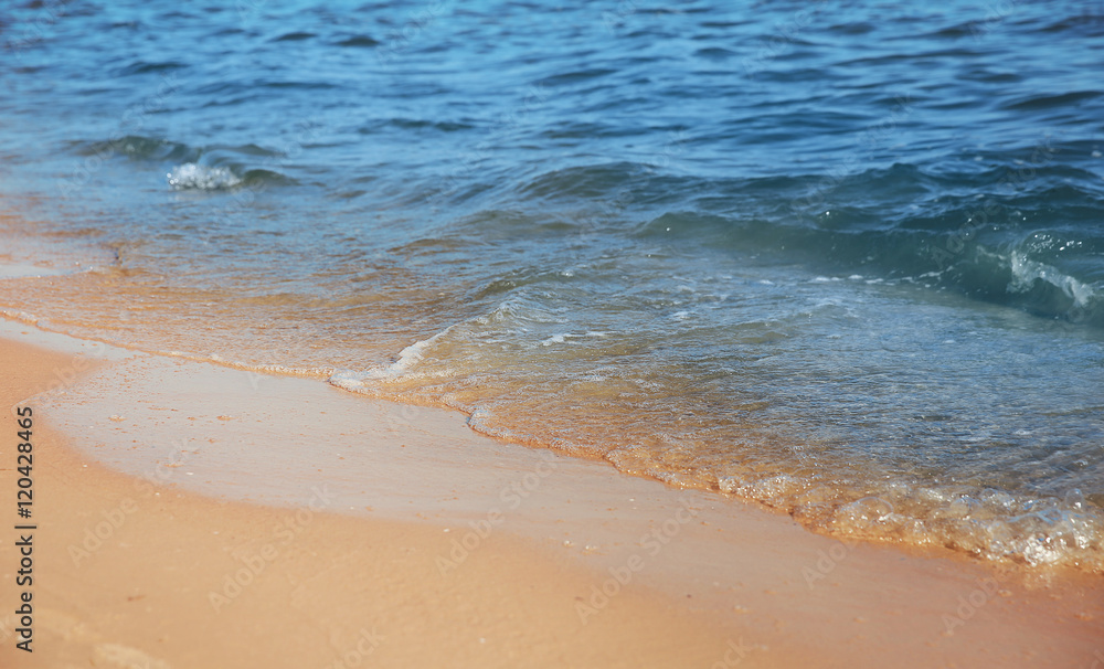 Beautiful tranquil seashore