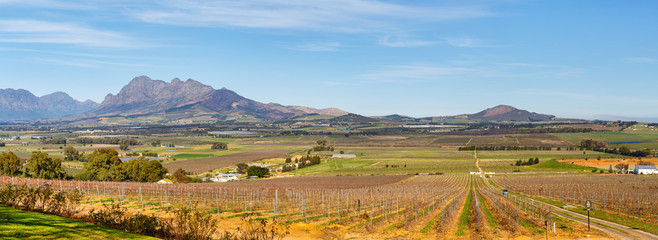 Crédence de cuisine Afrique Paysage de vignobles vallonnés  © TravelPhotoBloggers