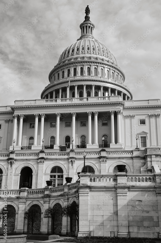 Fototapeta premium Capitol Hill Building in Washington DC