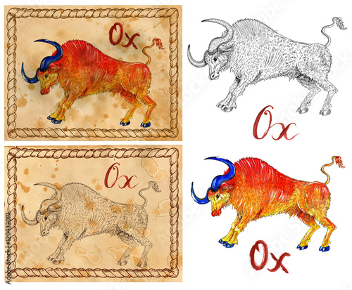 Vintage card with illustration of graphic zodiac animal symbol - ox