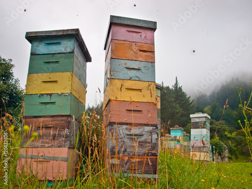 Multicolored wooden Bee Hives
