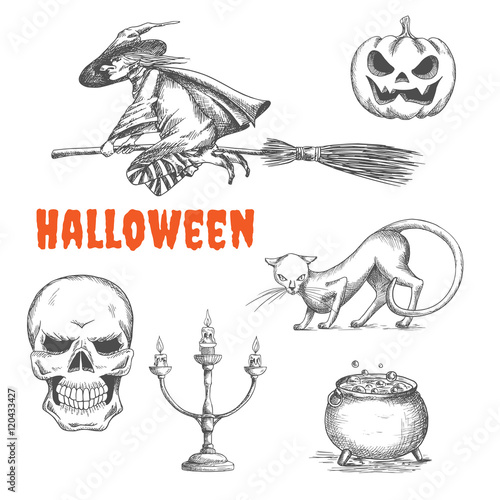 Halloween decoration symbols in pencil sketch