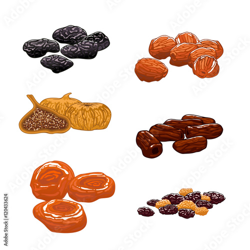 Dried Fruits set. Isolated vector icons