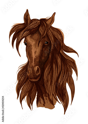 Brown mustang horse artistic portrait