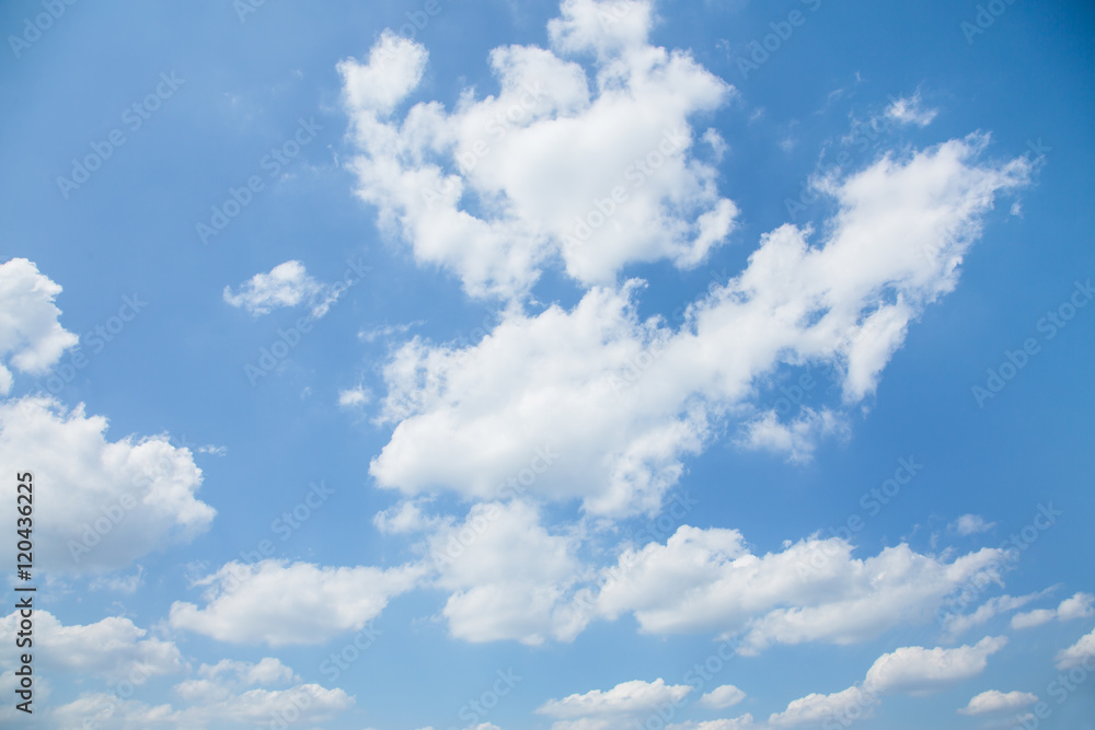 綿雲 綿雲