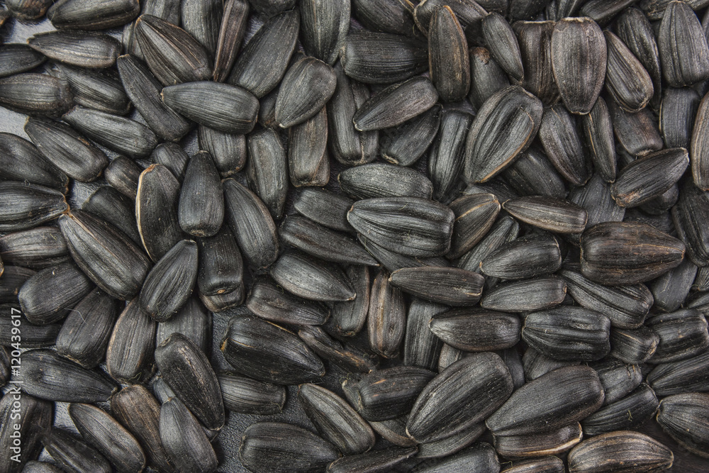 Black sunflower seeds. Black sunflower seeds.