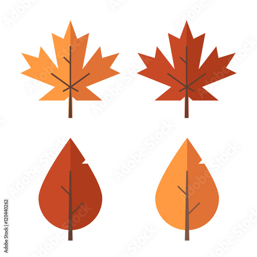 Autumn leaf set. Red and orange fallen autumn leaves. Maple and birch vector leaf isolated on white background.