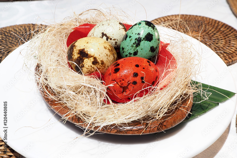 Obraz premium Colourful egg