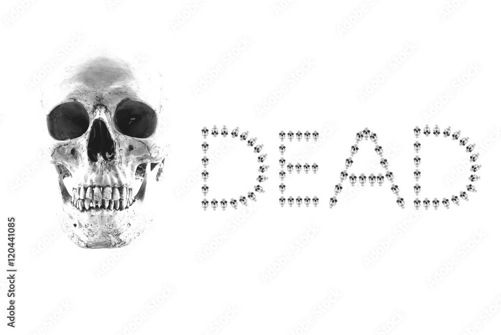 Day of the dead Halloween party skull,Skull of dead party(have clipping path)