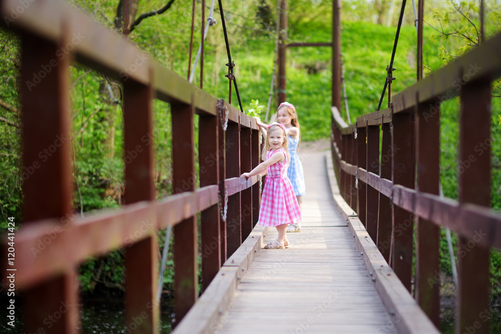 Two adorable little sisters having fun on a hanging bridge