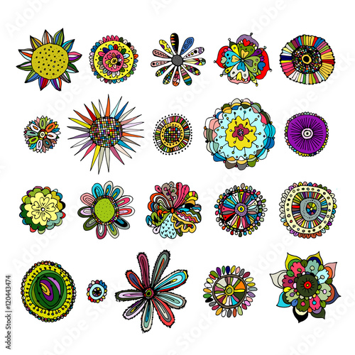 Flowers collection, sketch for your design