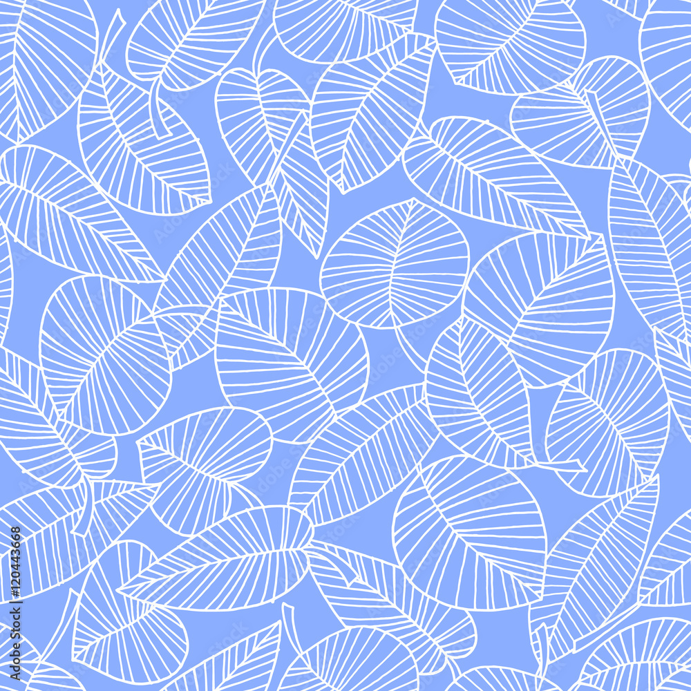 植物のパターン