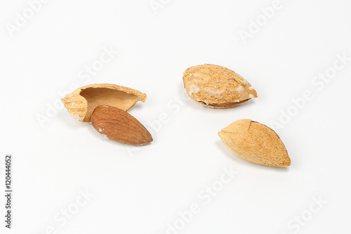 Almond nut in shell