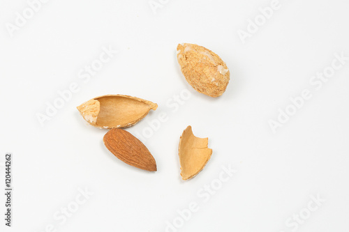 Almond nut in shell