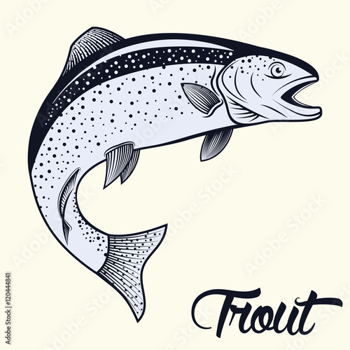 Jumping trout isolated