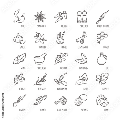 Spices and seasonings vector icons