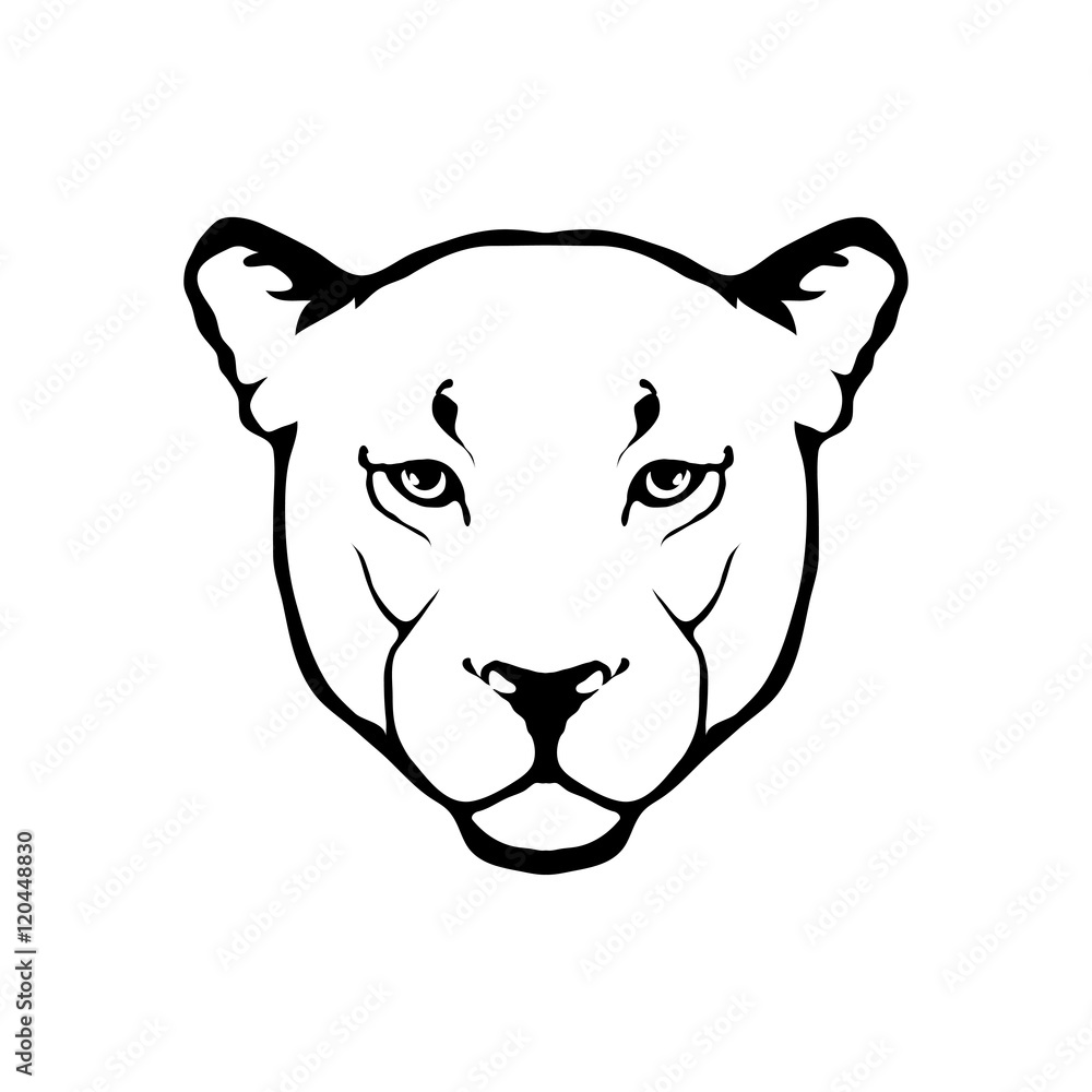 lion logo lion logo