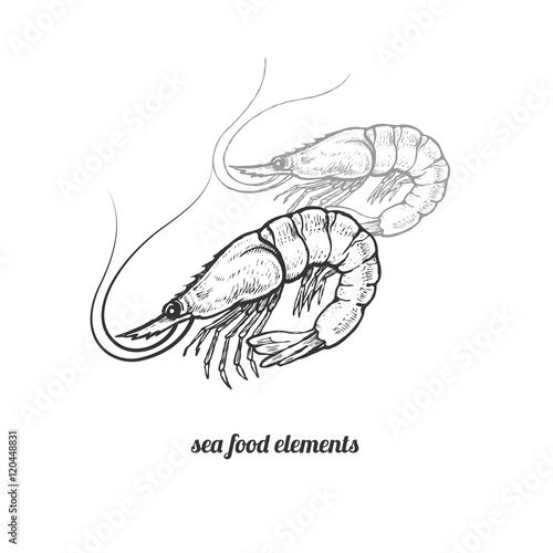Isolated image prawns on white background.