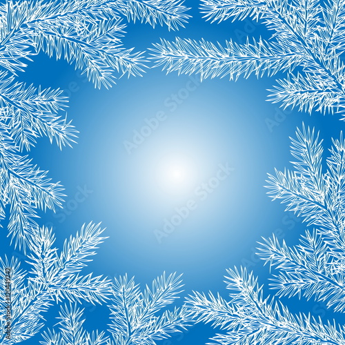 Winter background of fir branches. Christmas vector background with fir tree branches frame