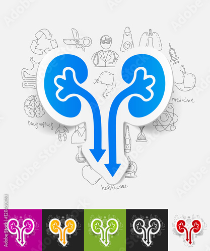 kidneys paper sticker with hand drawn elements