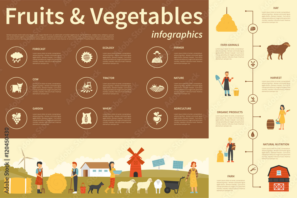 Fruits and Vegetables infographic flat vector illustration ...