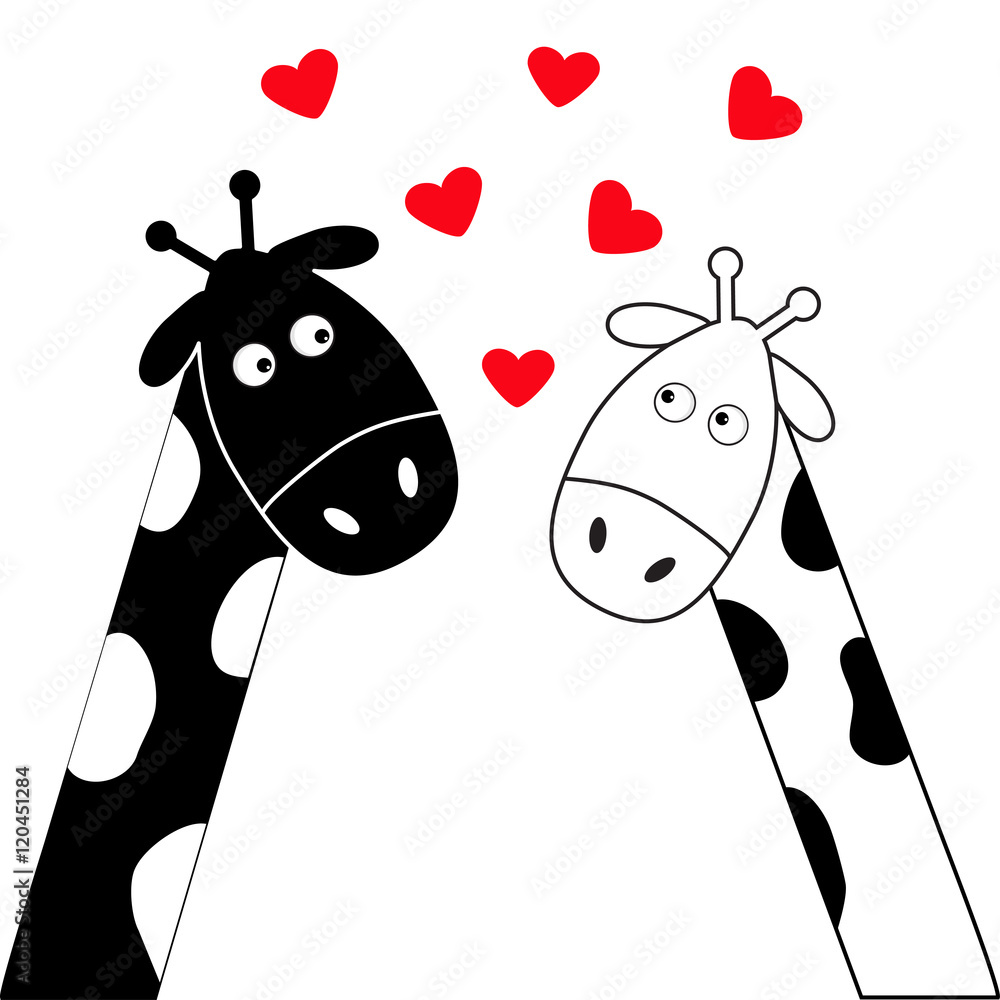 Cute cartoon black white giraffe boy and girl. Camelopard couple on date.  Long neck. Funny character set. Happy family. Love greeting card with  little hearts. Flat design. Heart background. Isolated. Stock Vector |
