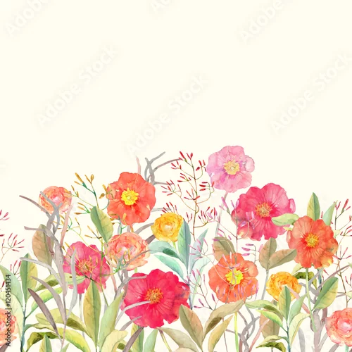 Obraz Wektor bezszwowe granica kwiatowy. Pojedyncze róże i dzikie kwiaty d