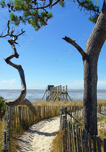 Dunes des Moutiers en Retz photo