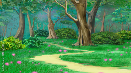 Footpath in a Fairy Tale Green Summer Forest