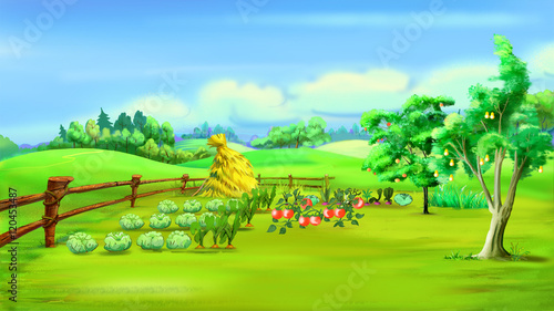 Rural Landscape with Vegetable Garden in a Summer Day